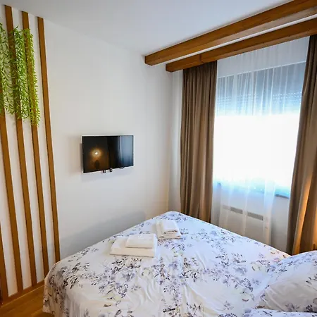 Borova Oaza Zlatibor